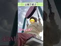2023.2.11 初めての公園で遊ぶ!! 健康遊具!! #shorts