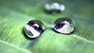 Tao Te Ching by Lao Tzu Chapter 61, Tranquility gives rise to humanity