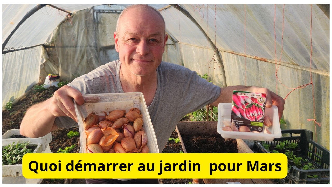 Le live de 5 h du matin   6 degrés ic i     superswet tomates cerises a semer !