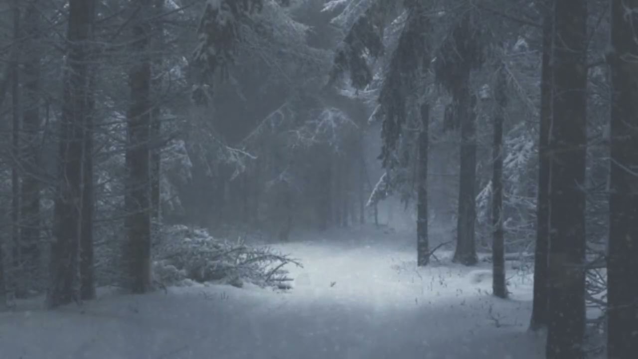 Snowy Forest Ambience