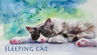 Paint a Long-hair Sleeping Cat in Watercolor