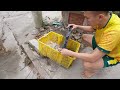 Beginning of video