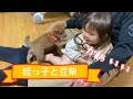 豆柴を迎えた初日に姪っ子とご対面しました【# 8】