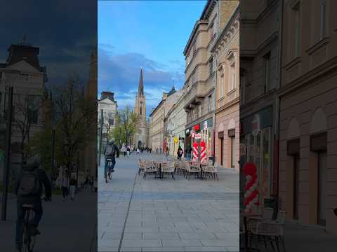 Город в Сербии, который вы обязаны посетить #сербия #белград #новисад