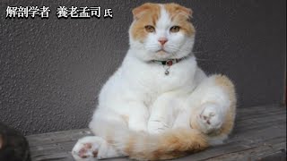 【養老孟司】オリジナリティって必要ですか？  養老先生がお話します。