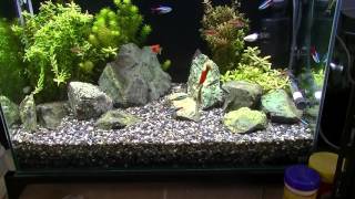 アクアリウム 大磯砂で水草水槽 底面フィルター Youtube