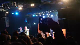 Me First and the Gimme Gimmes - Dancing Queen (08.08.2023, Live at Backstage Munich)