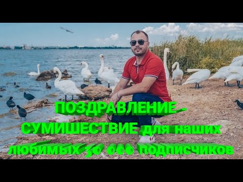 ☀️ ПОЗДРАВЛЕНИЕ - СУМИШЕСТВИЕ для наших любимых 30 000 подписчиков