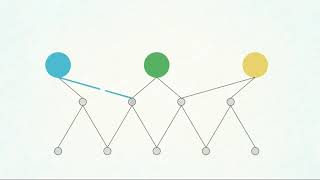 The Ultimate Python Overview for Absolute Beginners