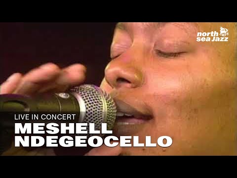 Meshell Ndegeocello: 