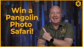 Pangolin Photo Challenge 2025