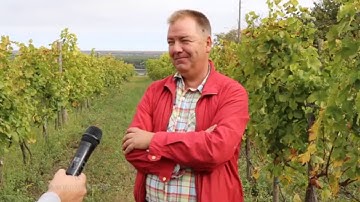 Vinarija Stojanović - Vino i vinogradarstvo