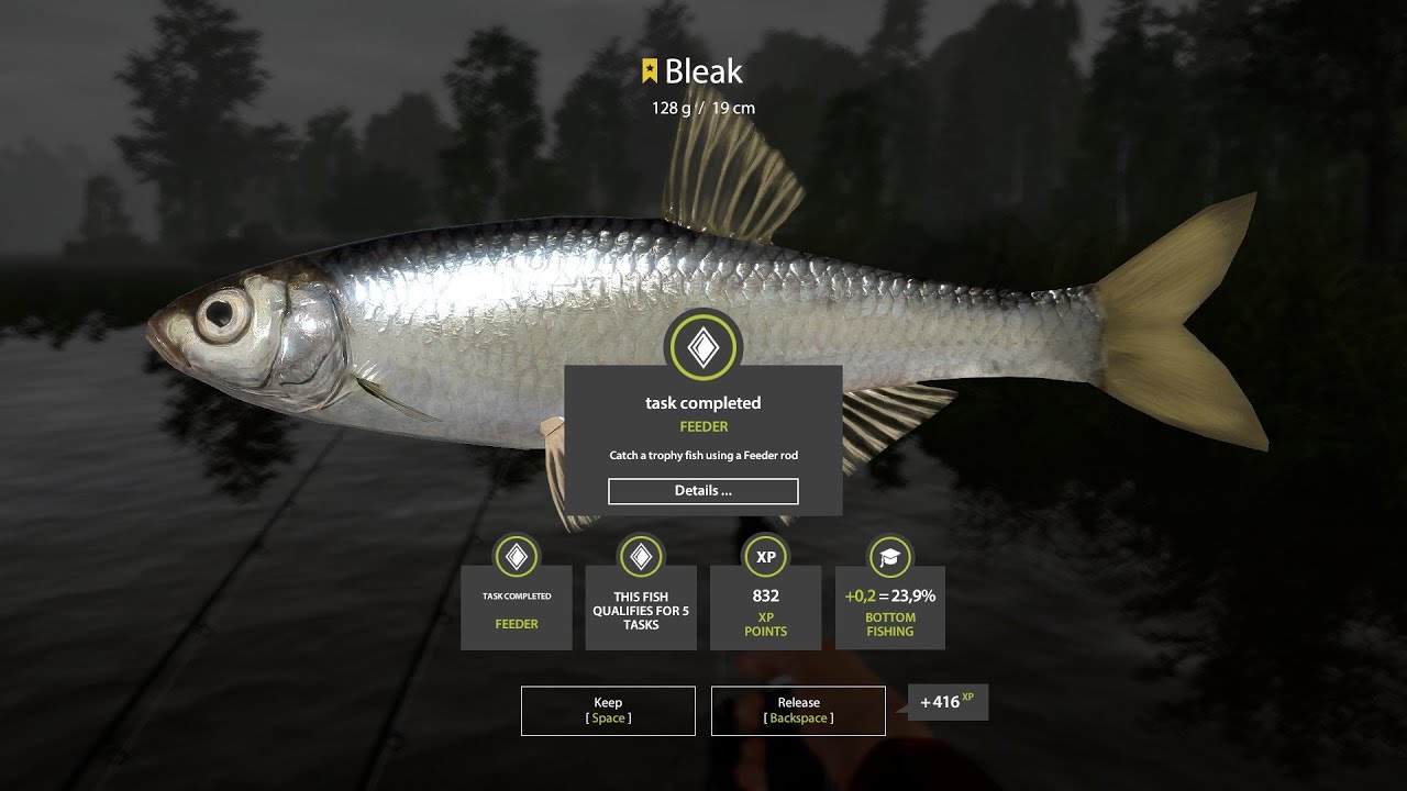 Russian Fishing 4 Mosquito Lake Active Spot Bleak Trophy feeder ro YouTube