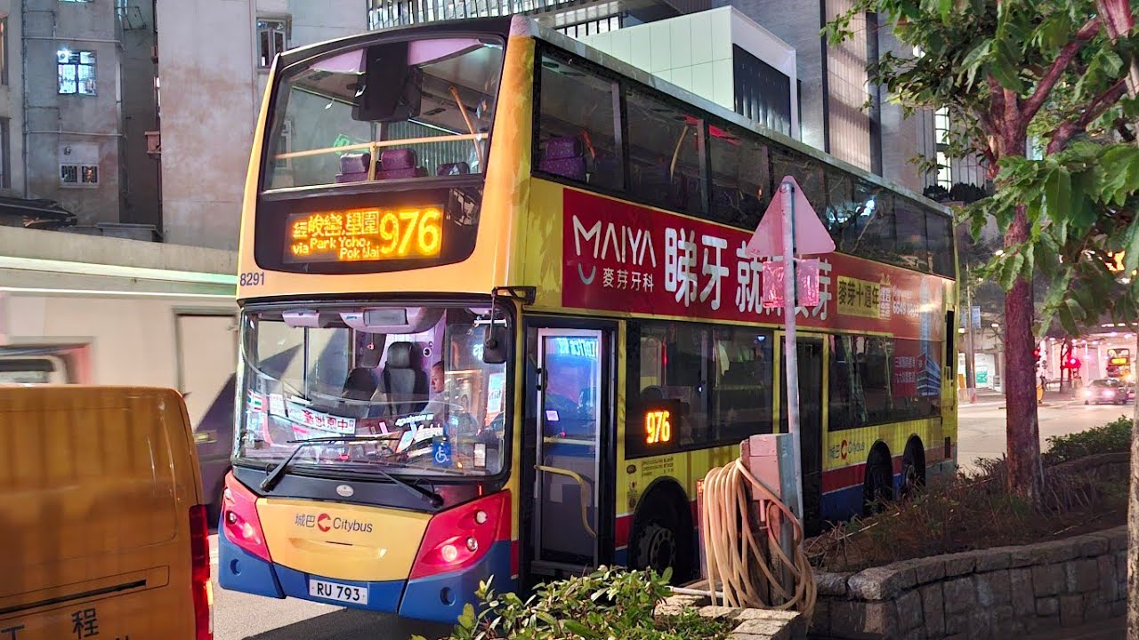 城巴976由西灣河往落馬洲(新田) 車牌RU 793 車隊編號8291