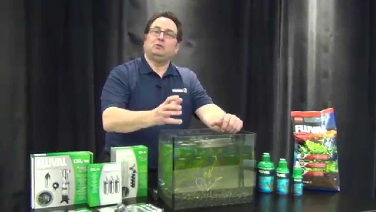 Fluval's Guide On Aquarium Plant Care YouTube