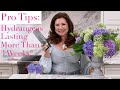 5 Pro Tips for the Longest-Lasting Cut Hydrangeas