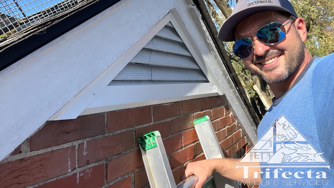 Gable Vent Greatness! Animal Proofing Done Well! YouTube