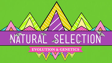Natural Selection - Crash Course Biology #14