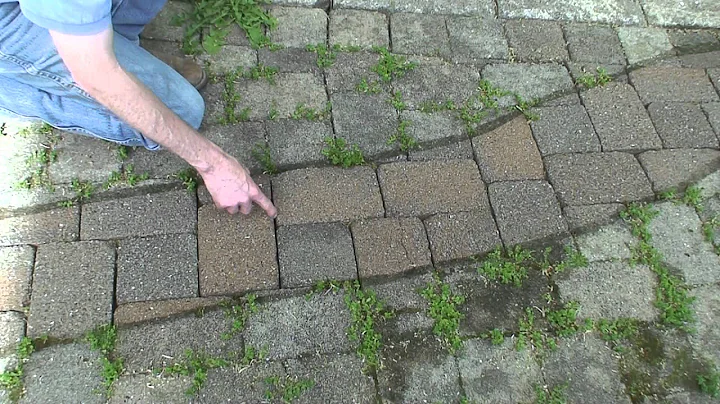 Lindsay-Wright Co. Paver Restoration Demo