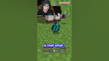 Minecraft, But Block Drops Are Random...