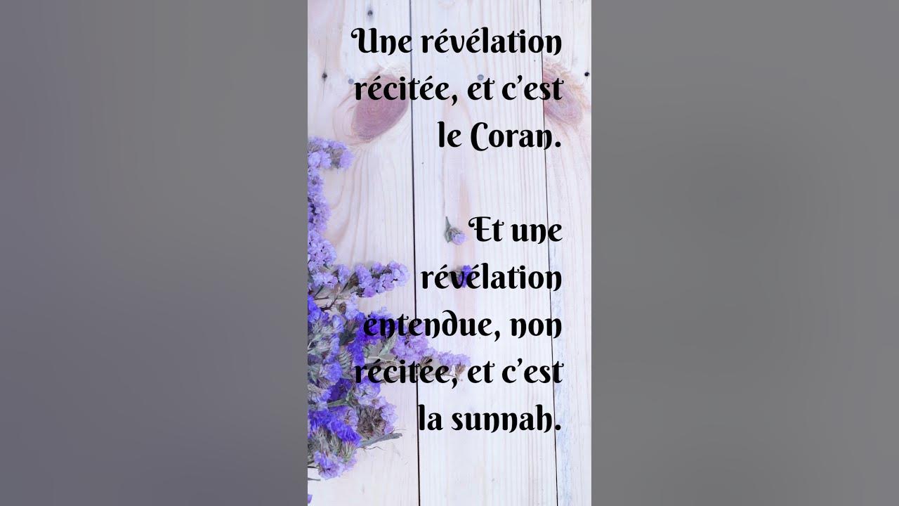 La croyance islamique authentique. Chaykh Dr. Mohamed Amane AlJami qu