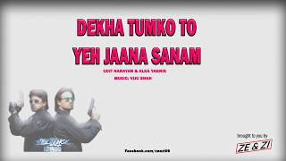 Dekha Tumko To Yeh Jaana | udit Narayan & Alka Yagnik | Jeetenge Hum Dekha Tumko To Yeh Jaana | udit Narayan & Alka Yagnik | Jeetenge Hum