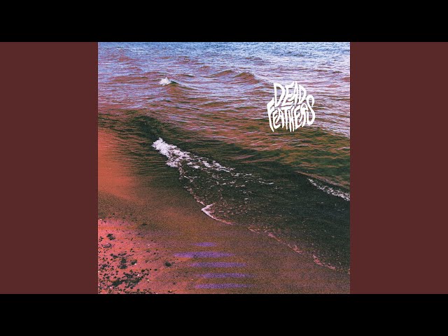 Dead Feathers - The Swell