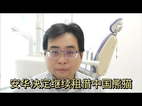 安华决定继续租借中国熊猫 27-1-2024@ahchungtalkshow8911