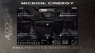AUDIOFIER Micron Series: CINERGY
