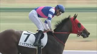 2024.02.18 3Yo Newcomer Jpn - Big Flower
