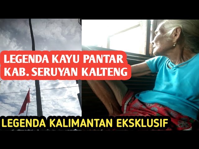 Legenda Kayu Pantar Kab. Seruyan Kalteng class=