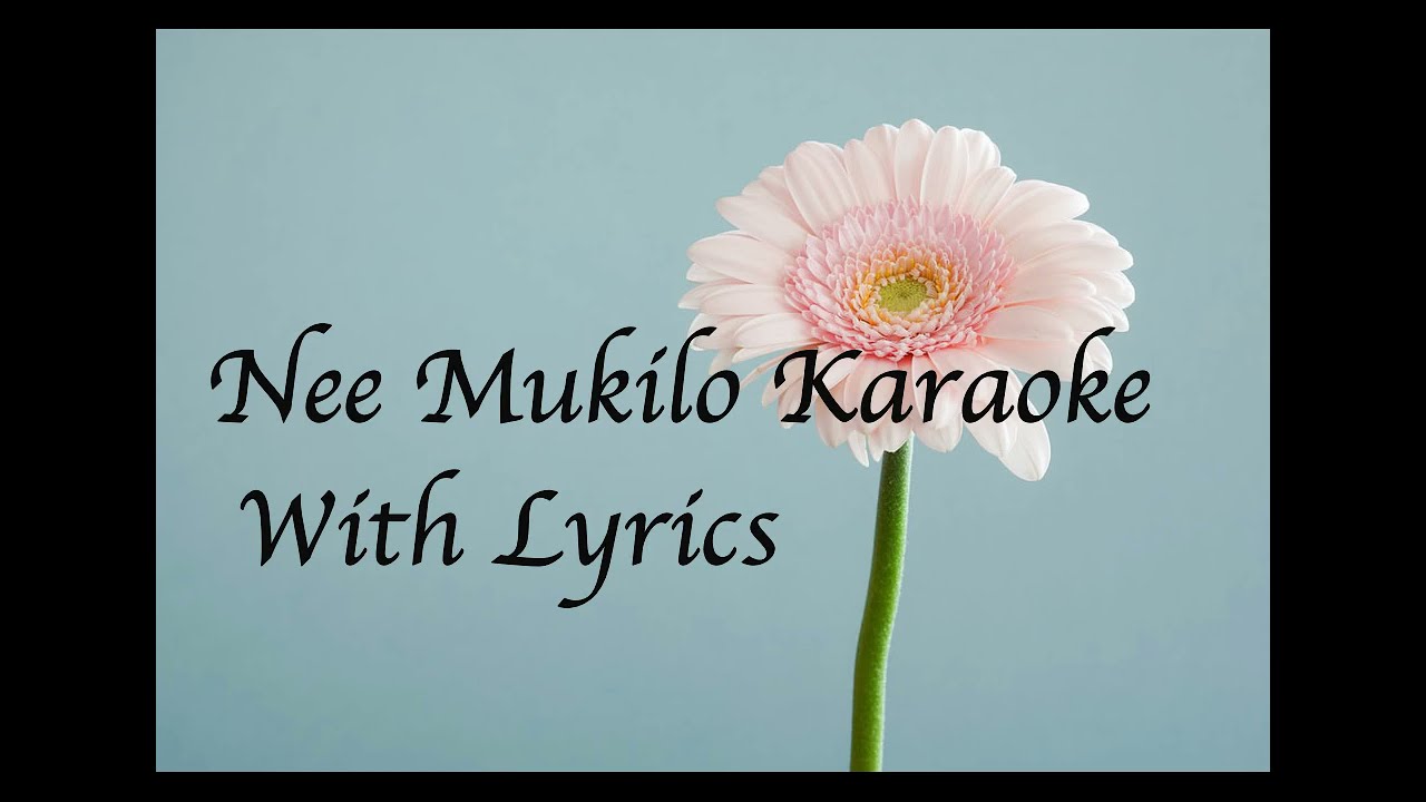 Nee Mukilo  Karaoke with lyrics  Uyare  HD Quality
