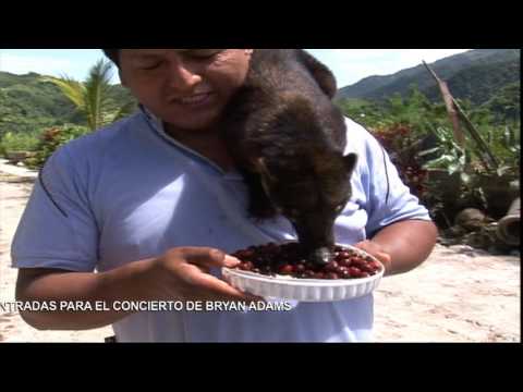 Video: La taza de café más lujosa del mundo: DEVIEHL