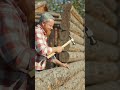 human builds a wooden house from scratch on flat ground. #viralvideo #story #ai #home #building