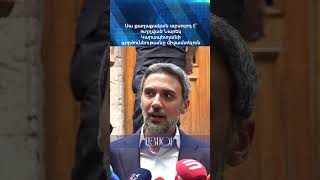 Սա քաղաքական աբսուրդ է՝ ուղղված Նարեկ Կարապետյանի գործունեությանը միջամտելուն
