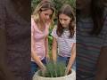 Beautiful DIY Blue Lavender Cement Planter with Mom &amp; Daughter 🌸🪴#new#tree#trending#viral#home#viral