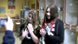 Christmas Queens SPCA Promo