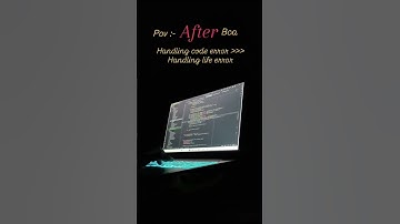 Programmer