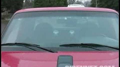 Sound Off UltraLite 4 Module Windshield Light