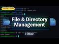 File and Directory Management | Linux Basic in Urdu | DevOps Beginners Tutorial #1