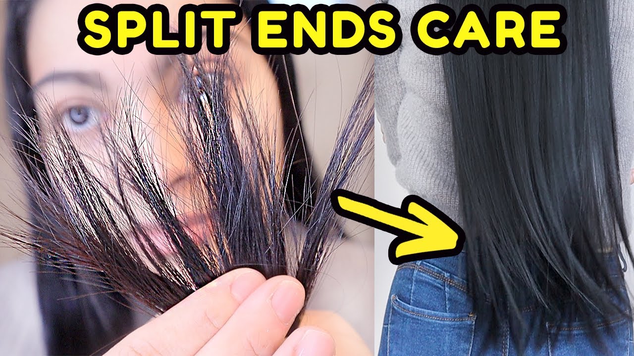 What Causes Split Ends  How To Prevent Them  Philip Kingsley  Hair Guide