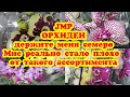 #орхидея #фаленопсис #JMP Фаленопсисы в JMP  О мой БОГ как много красоты привезли на Фуд Сити