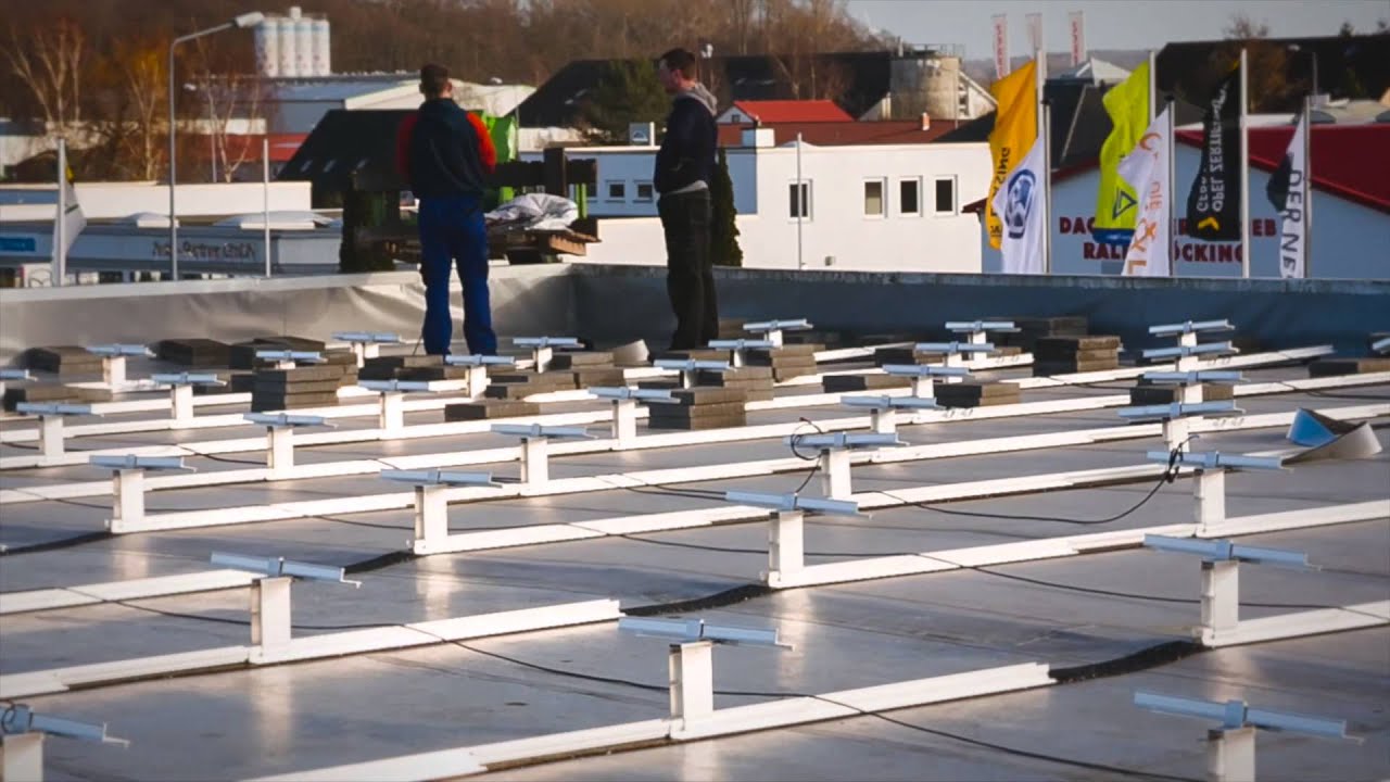 HK SOLARTEC VW Auto Birne Bad Doberan