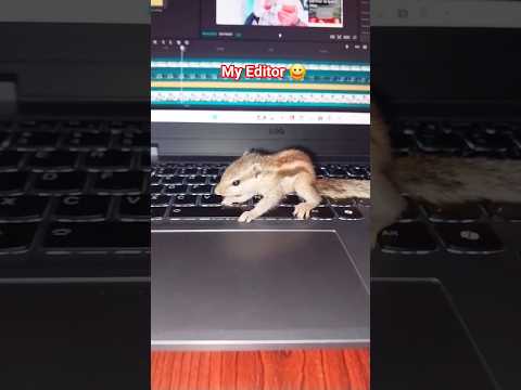 My Editor 😀😂
