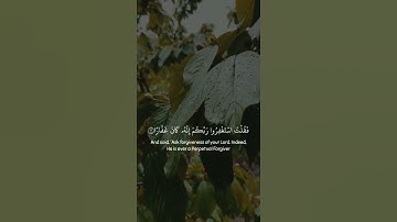 قرآن كريم بصوت القارئ سالم الرويلي || أجمل حالات واتس اب دينيه || تلاوة خاشعة 🌧️🌿