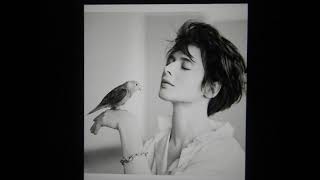 Isabella Rossellini: The Ethereal Icon of Italian Cinema Born into Hollywood and European royalty