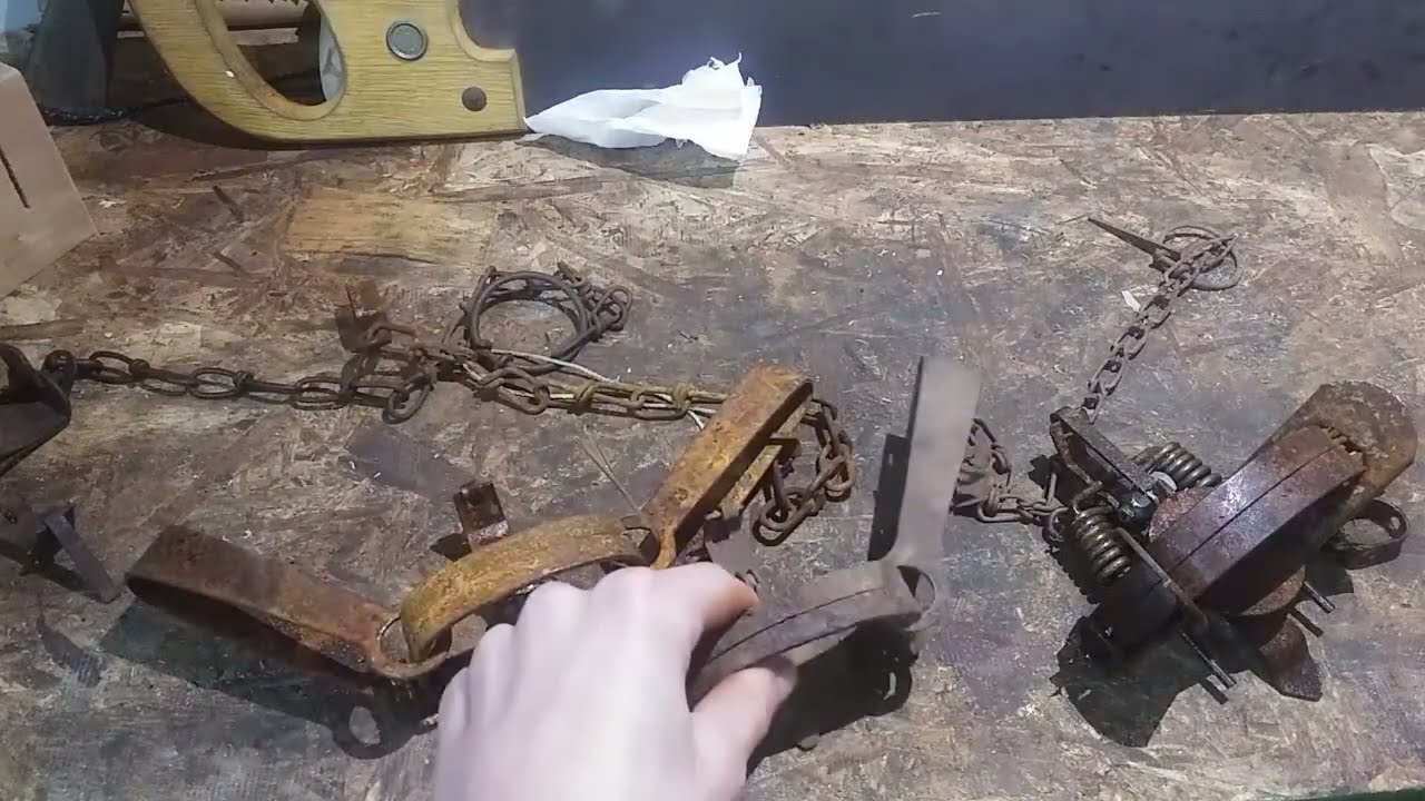 Animal Traps: How do they work? (foothold traps)