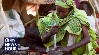 Sudan's famine worsens as civil war intensifies: 'We have nothing to eat but animal feed'