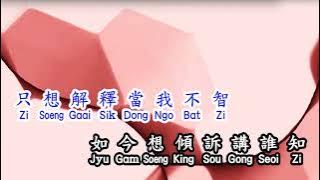 Cantonese  刘德华  Andy Lau  《 一起走过的日子 》  yi qi zou guo de ri zi