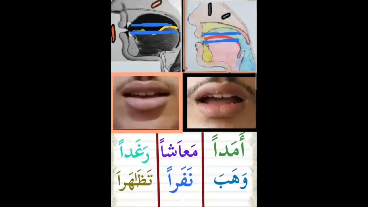 وضعية الفكين والشفتين في الفتح تبقى هي هي عند الانتقال بين الحروف(( المفتوحة))